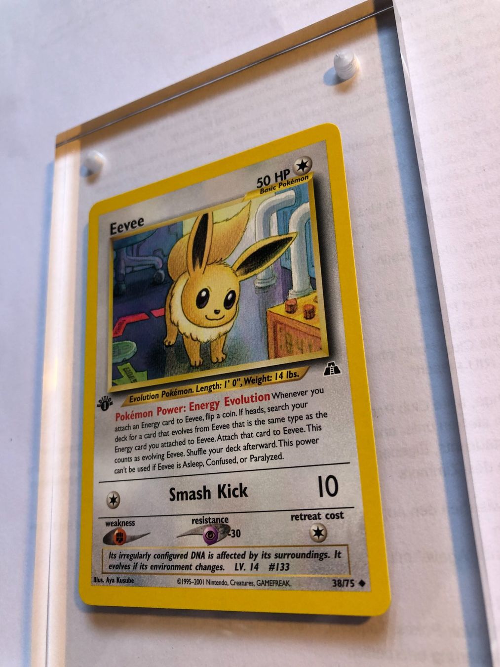Carte collezionabili: Eevee 1st (uncommon) Neo Discovery - MINT - ab 1.- – Usato da Giubiasco venduto da dan_pr8b 2