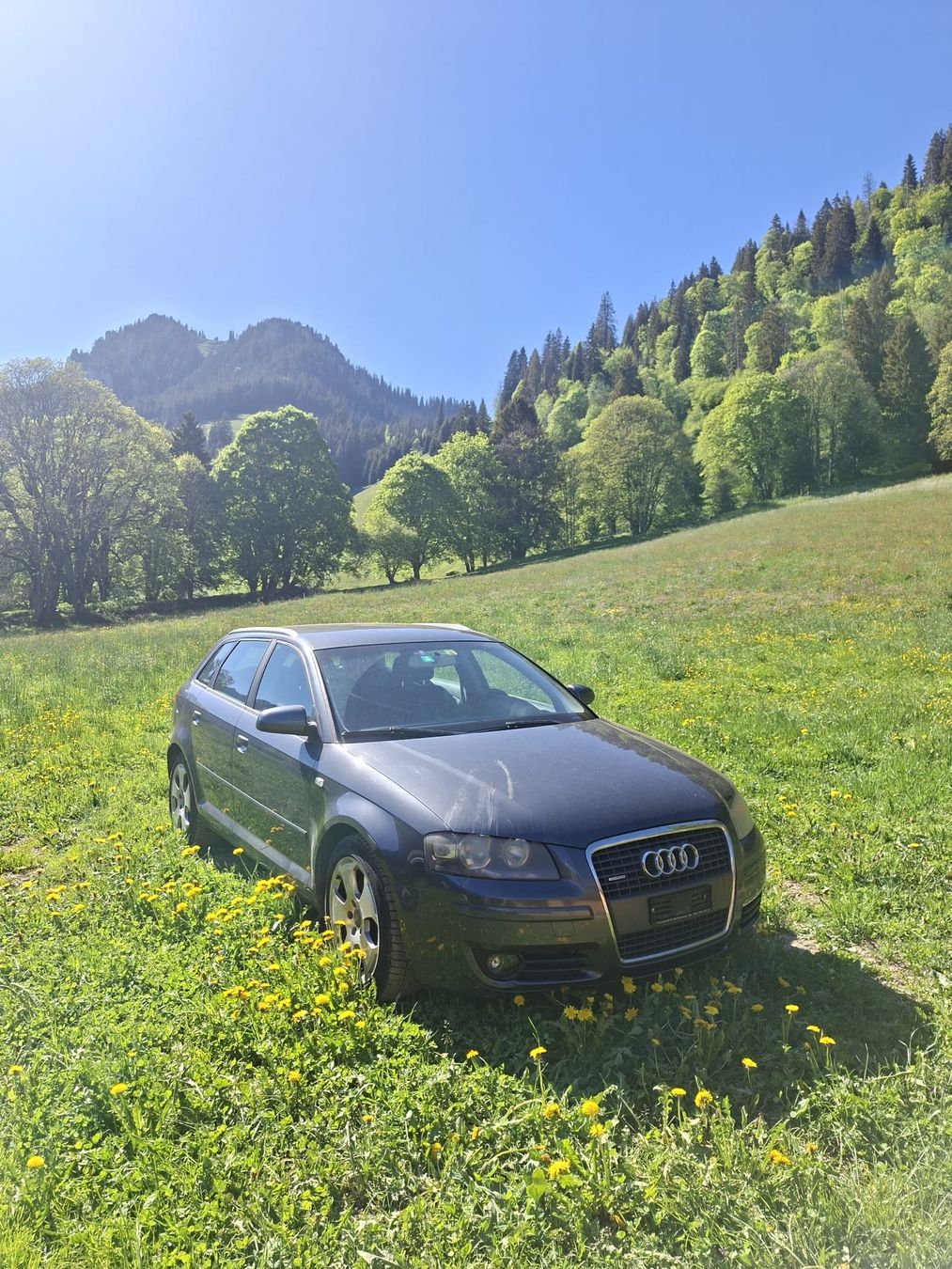 Audi Automobili: Audi A 3 Quattro – Usato da ZWISCHENFLÜH venduto da ramsler01