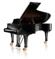 Rare Steinway Model C 227