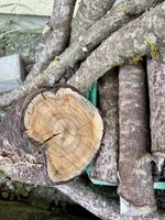 Holz von Essigbaum