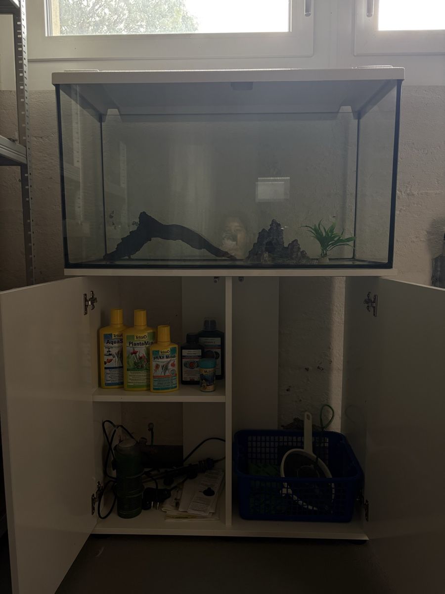Acquari: Aquarium mit Zubehör – Usato da Ersigen venduto da mob_pc6d