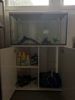 Aquarium mit Zubehör