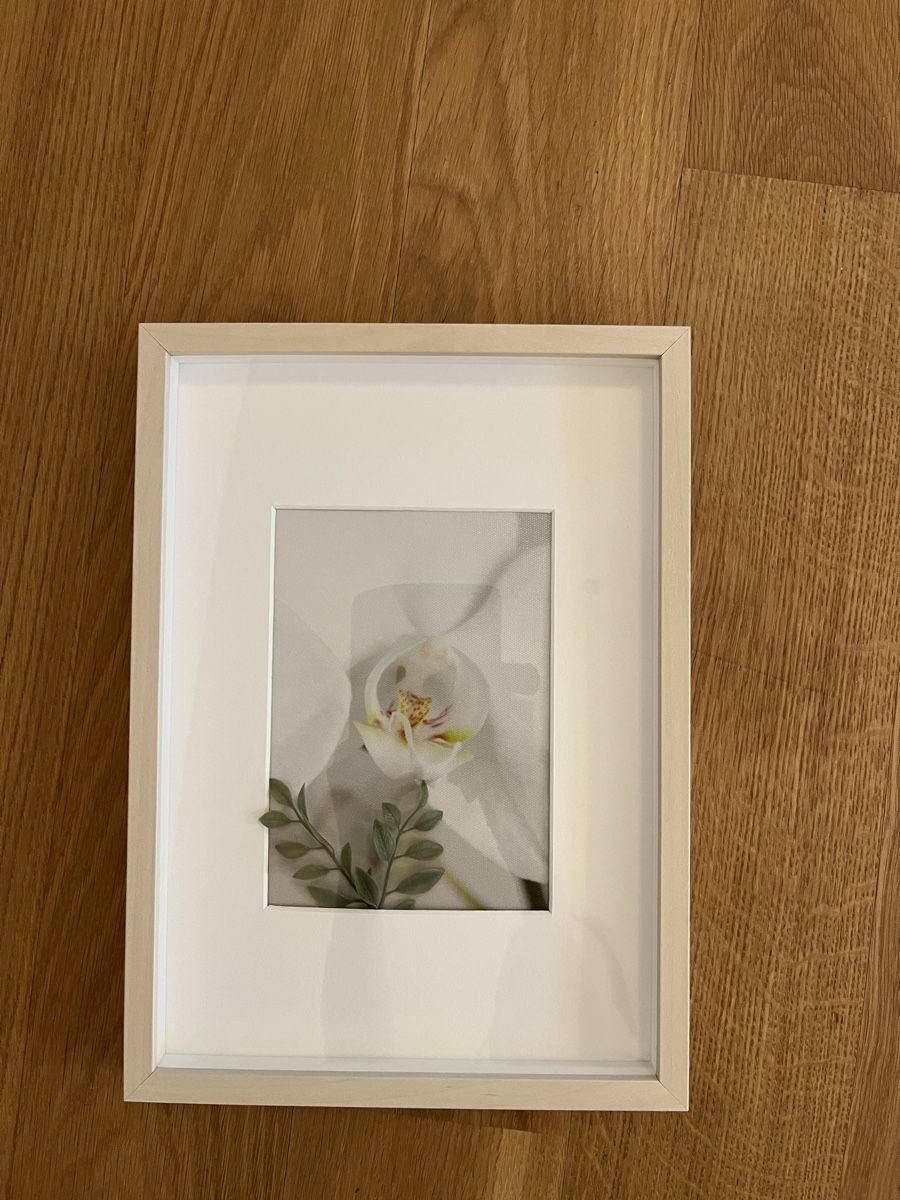 Foto & Immagini: Bild mit Rahmen Orchidée klein – Usato da Rotkreuz venduto da rinchee 3