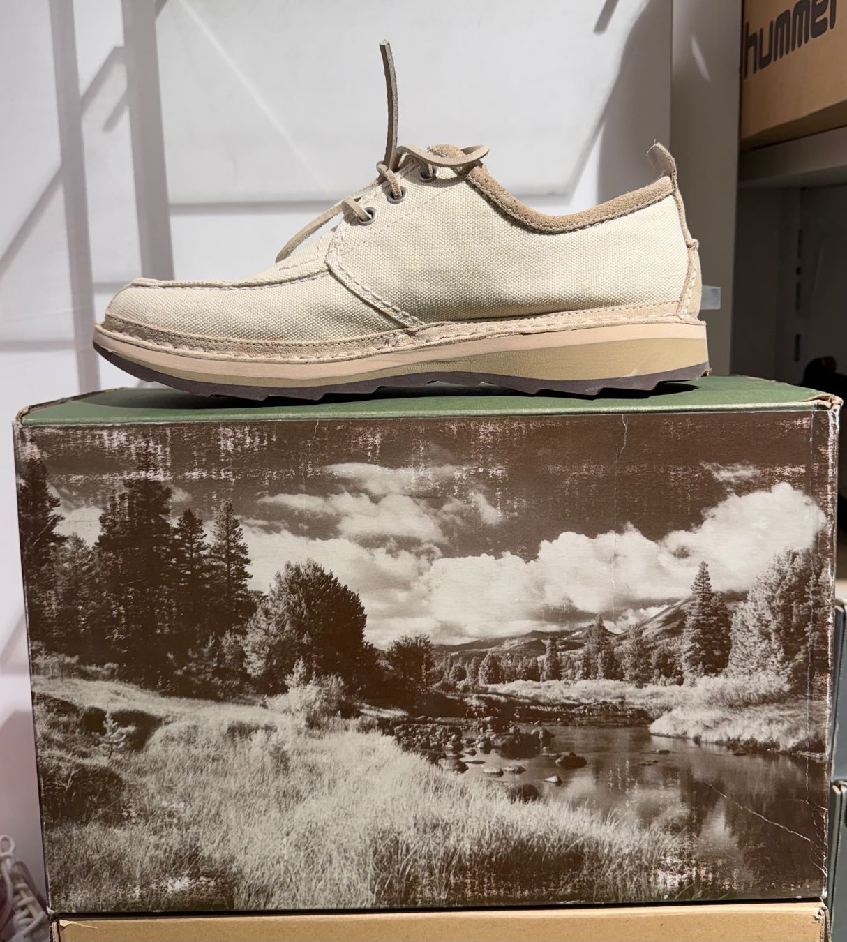 Timberland Scarpe da uomo: TIMBERLAND BOOTSSCHUH    LEDER    BEIGE      Gr.43.5 – Nuovo e nell'imballaggio originale da Zürich venduto da LIQUIDATOR.CP 1