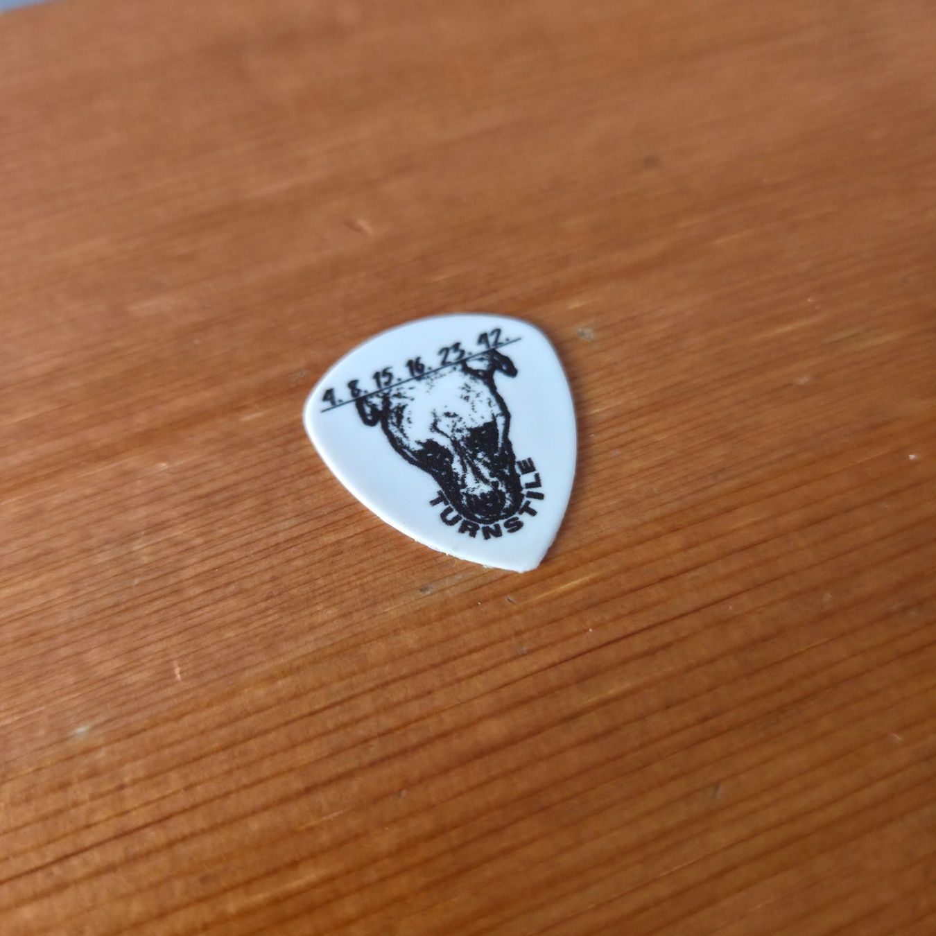 Strumenti musicali: Turnstile Lost Plektrum Pick – Usato da Zürich venduto da Wickeddude 2