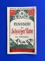 Rundsicht Schynige Platte Interlaken 1891-1892