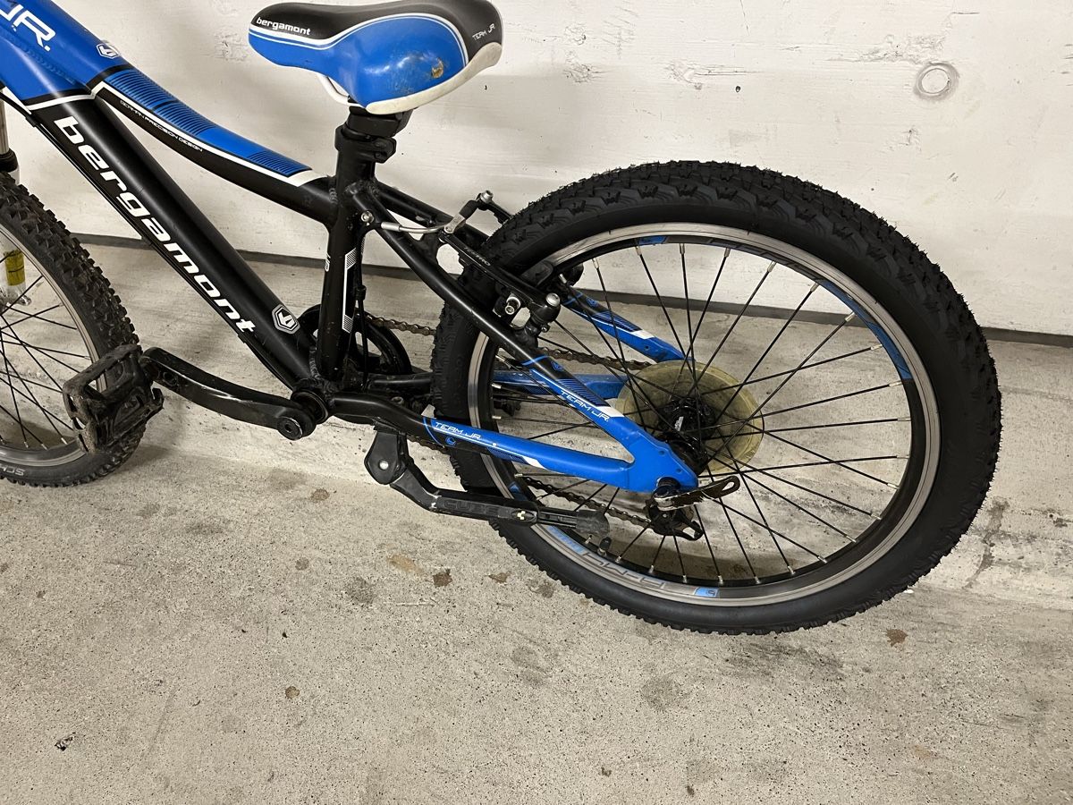 Bergamont Biciclette: Kindervelo Bergamont – Usato da Zürich venduto da divertimento4 4