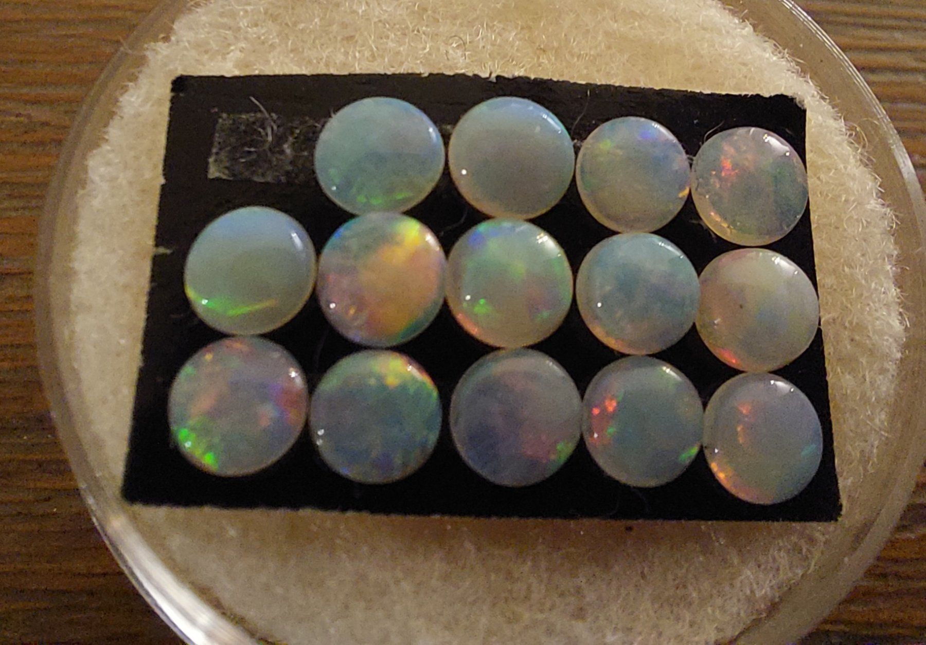 Pietre preziose: 14 Opalcabochons 4mm rund – Nuovo (secondo la descrizione) da Klingnau venduto da Tamina5 2