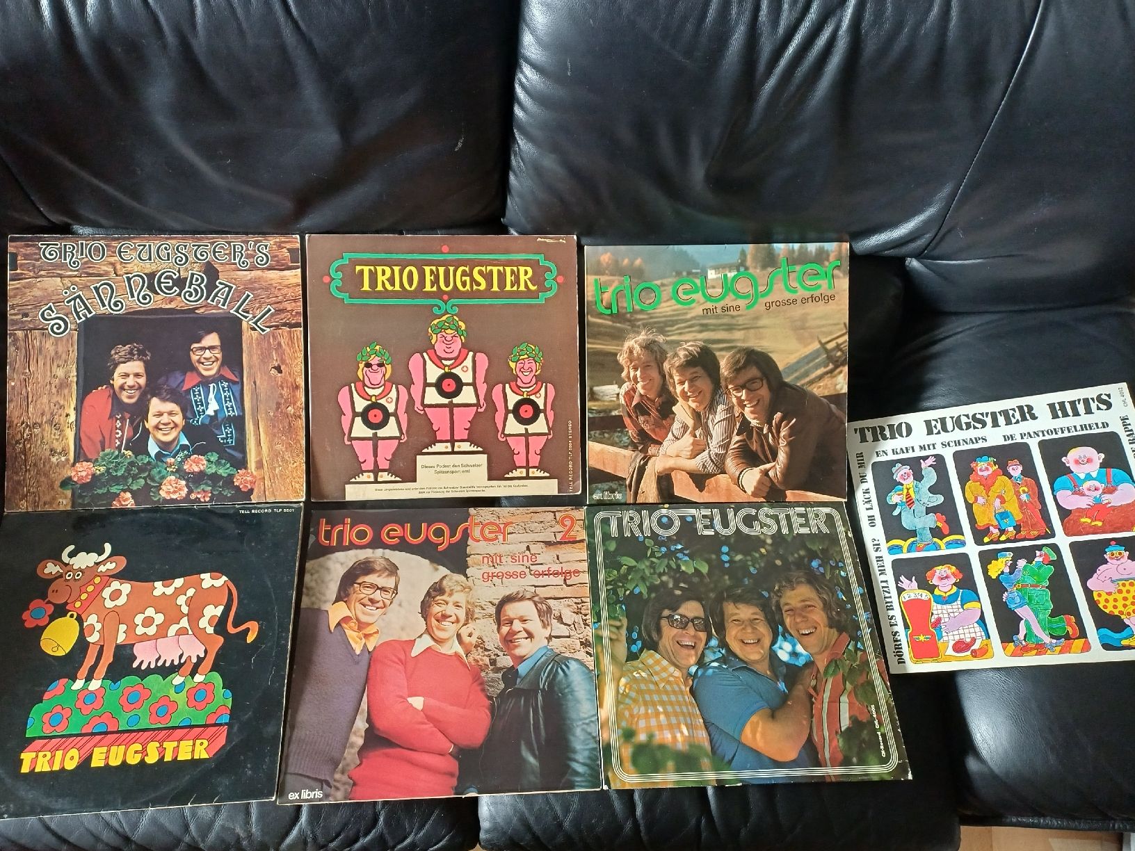 Dischi in vinile: Trio Eugster Schallplatten Konvolut 7 Stücke  – Usato da Ebersecken venduto da Napf08