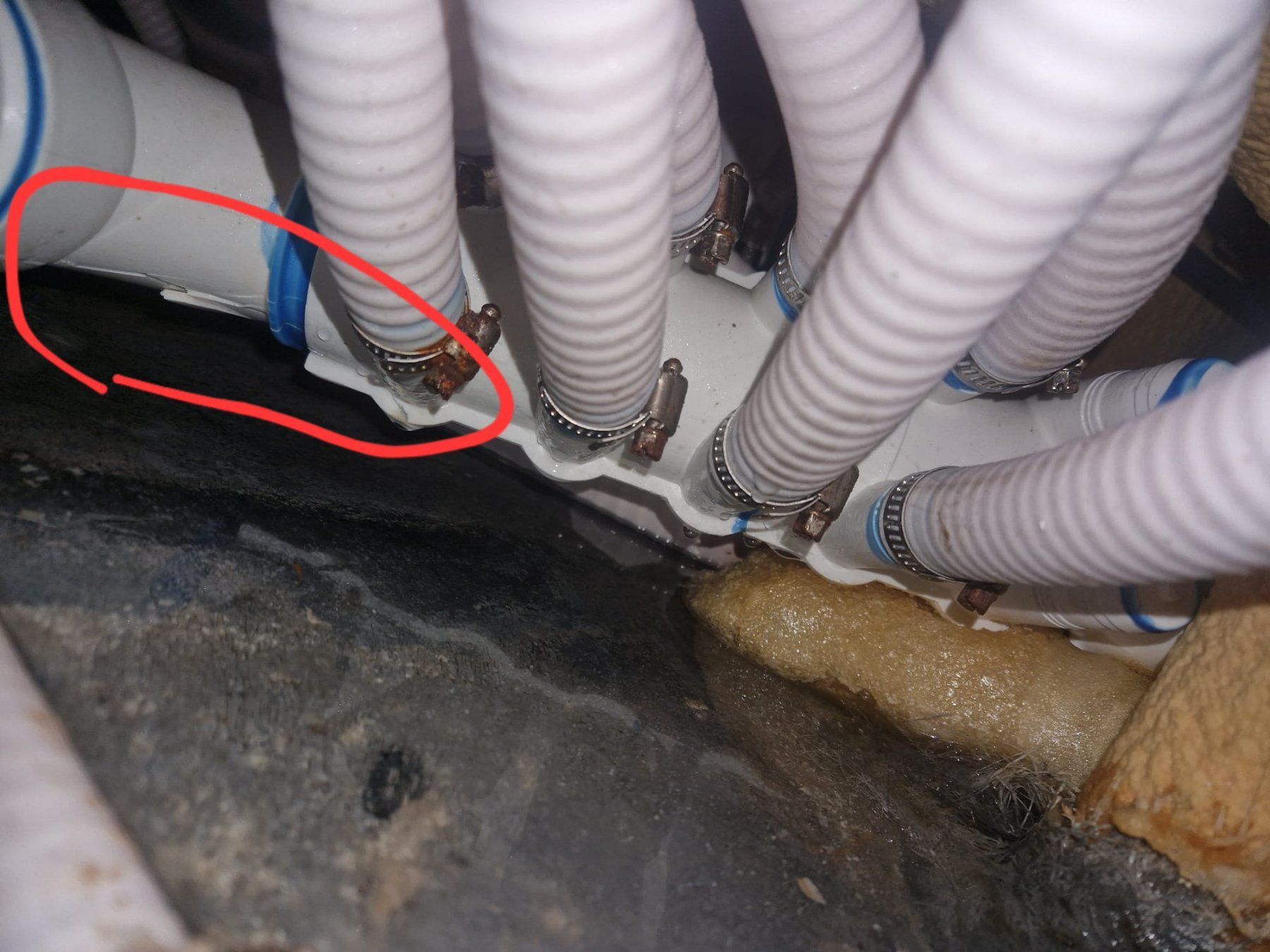 Whirlpool: Whirlpool Balboa Typ San Diego – Difettoso da Lütisburg-Station venduto da Egli-Landmaschinen 2