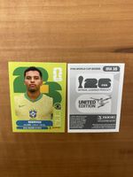 Panini BRA 15
