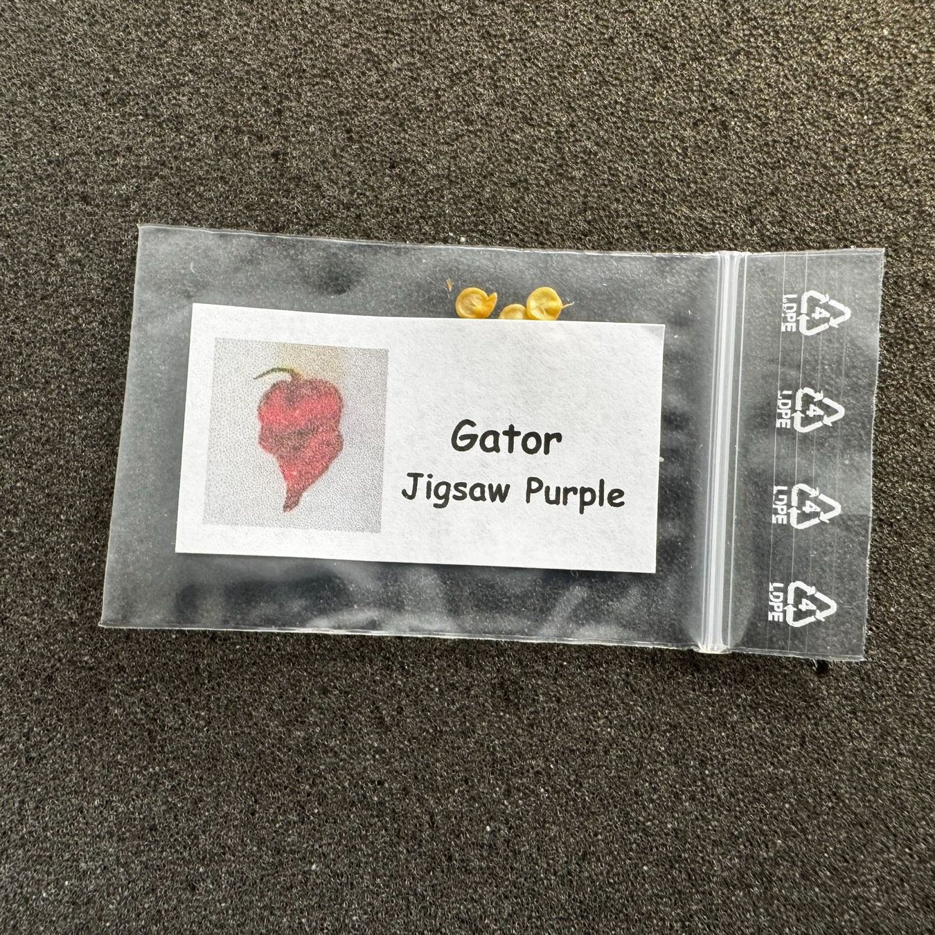 Piante & sementi: Gator Jigsaw Purple 10 Chili Samen – Usato da Reitnau venduto da Emma-verkauft