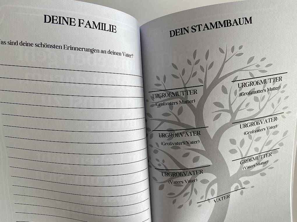 Libri: Bücher Familiengeschichte – Usato da Solothurn venduto da BaSiMa2017 3