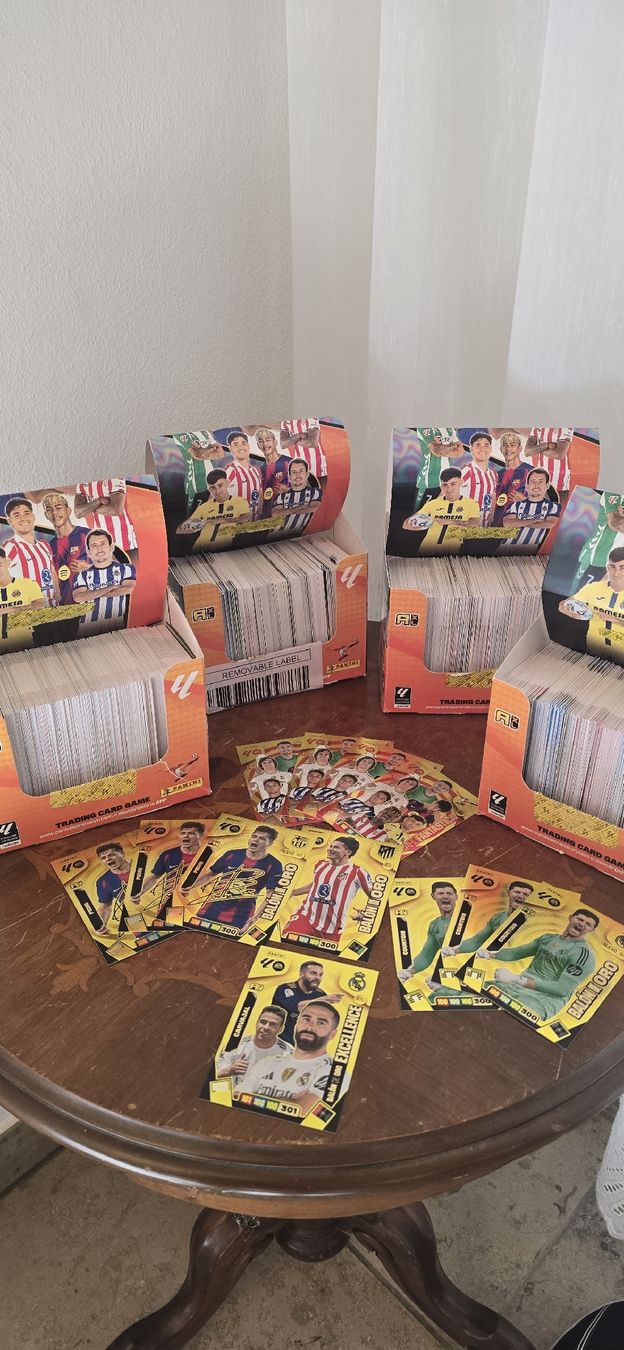 Panini Carte collezionabili: laliga panini – Usato da Safnern venduto da Brionne