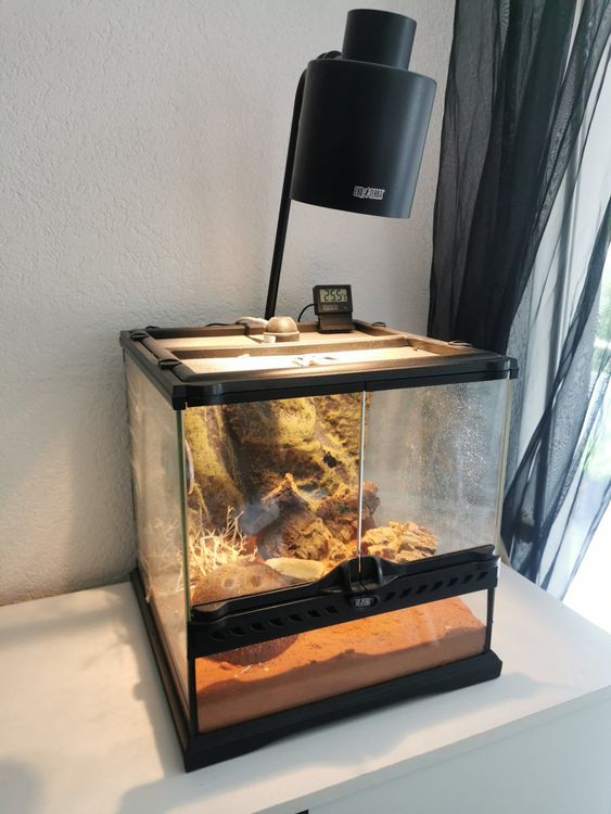 OiiBO Kleintierterrarium 120x60x60 Cm Weiß - Mit Schwingtüren & Gazedeckel