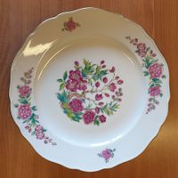 Assiette en porcelaine de Couleuvre