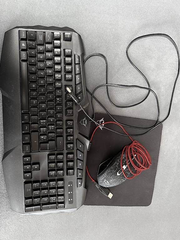 Tastaturen: Gaming Tastatur und Maus – Gebraucht aus Lupfig von CEichi812