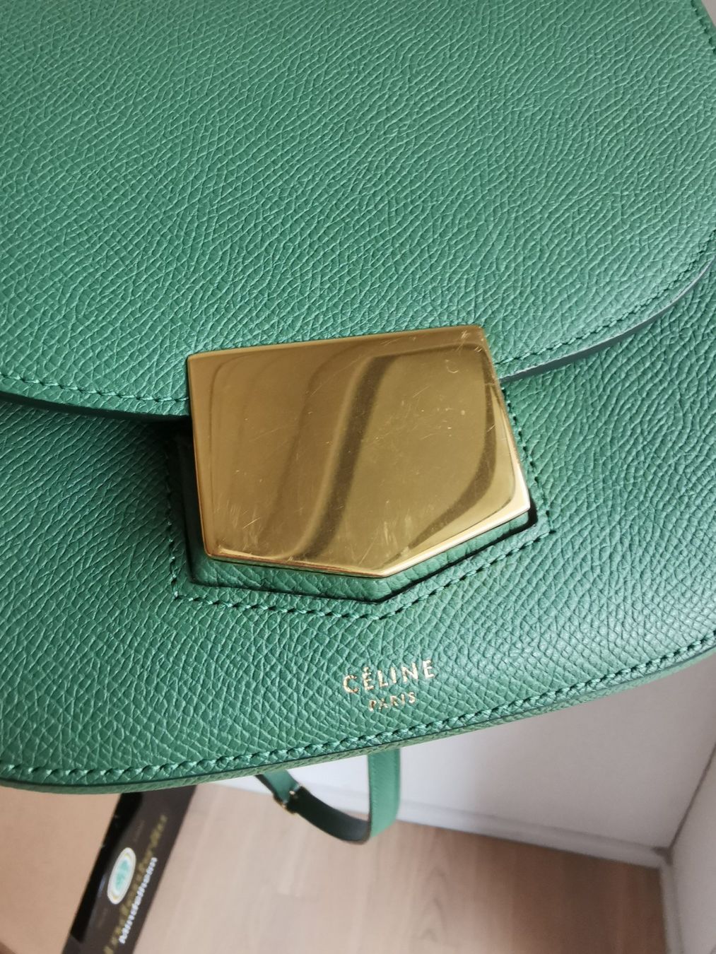 Celine Borse da donna: Céline Small Trotteur Bag in Green – Usato da Spreitenbach venduto da Catticoooorn 1