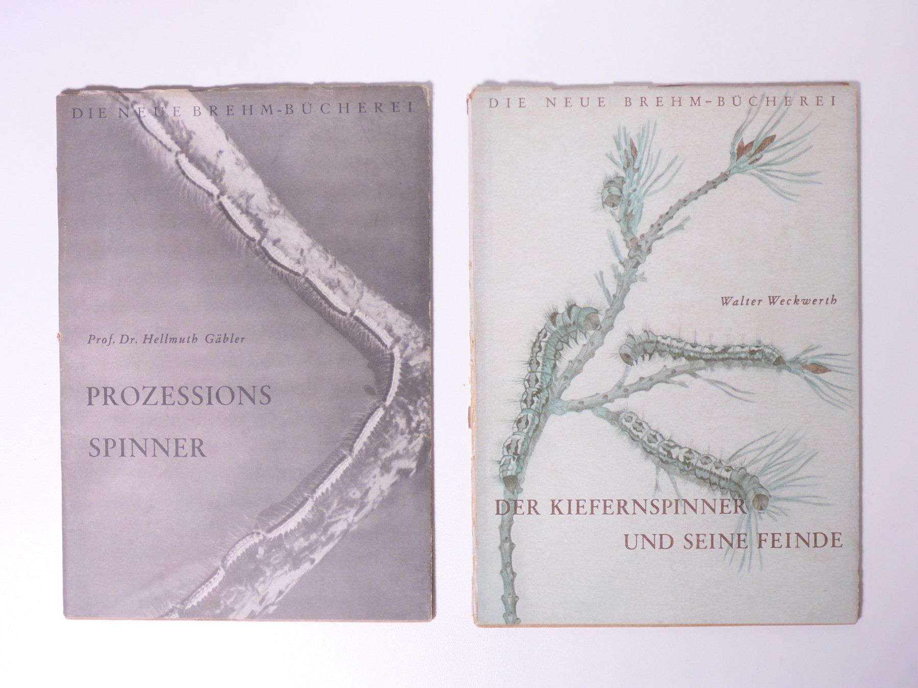 Livres: Konvolut. Schmetterlinge 9 Titel – D'occasion à Erschwil par taglang 2