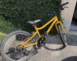 Vélo enfant LIVERSIDE 