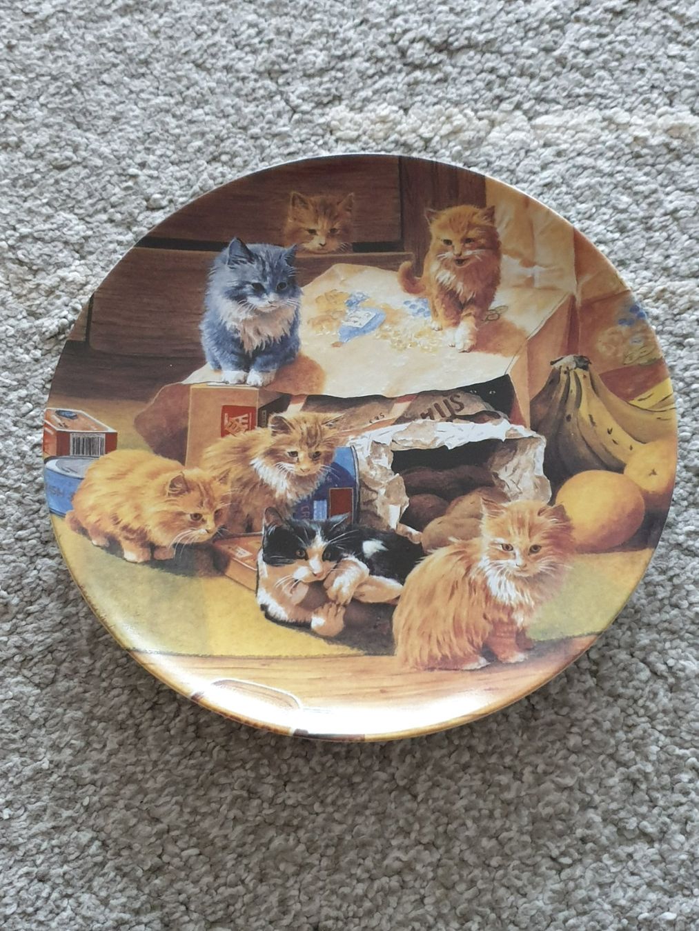 Piatti: 4 Teller Katzen – Usato da Mörschwil venduto da spirspi 4