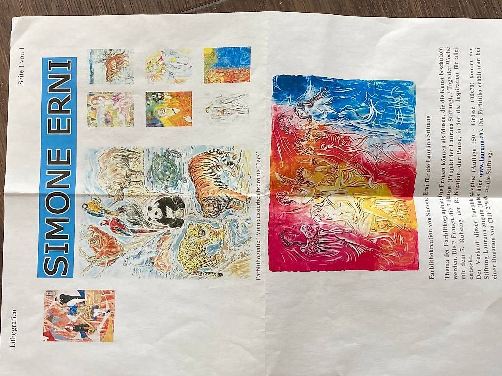 Grafica & Litografie: Erotische Lithographie Simone Erni gerahmt – Usato da Buchberg venduto da Salmonfly666 4