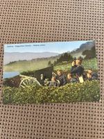 Carte postale ancienne rare - Artillerie suisse 1914