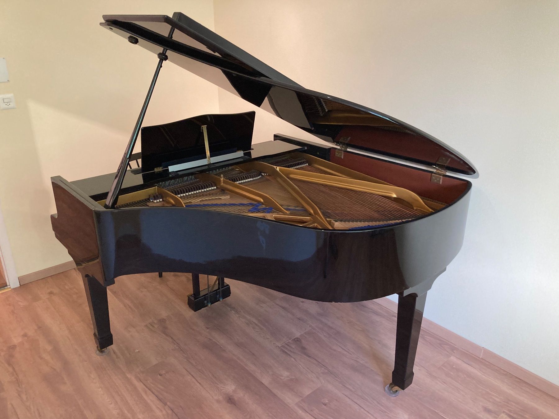 Blüthner Musikinstrumente: Flügel Blüthner – Gebraucht aus Basel von ben_kdz8 4