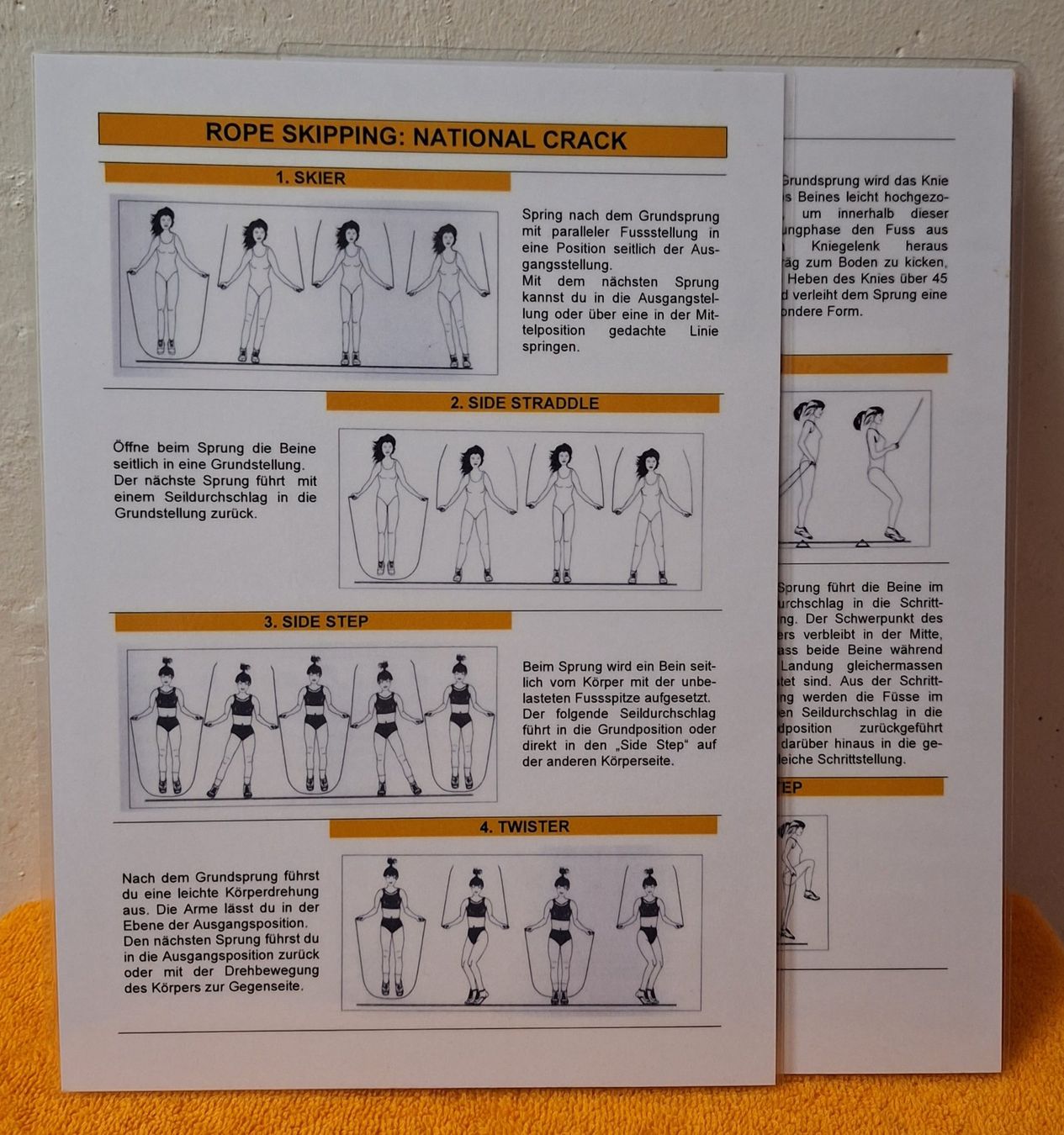 Corde per saltare: 18 ROPE SKIPPING Lernkarten-Set – Usato da Muri AG venduto da Edlerweiss 9