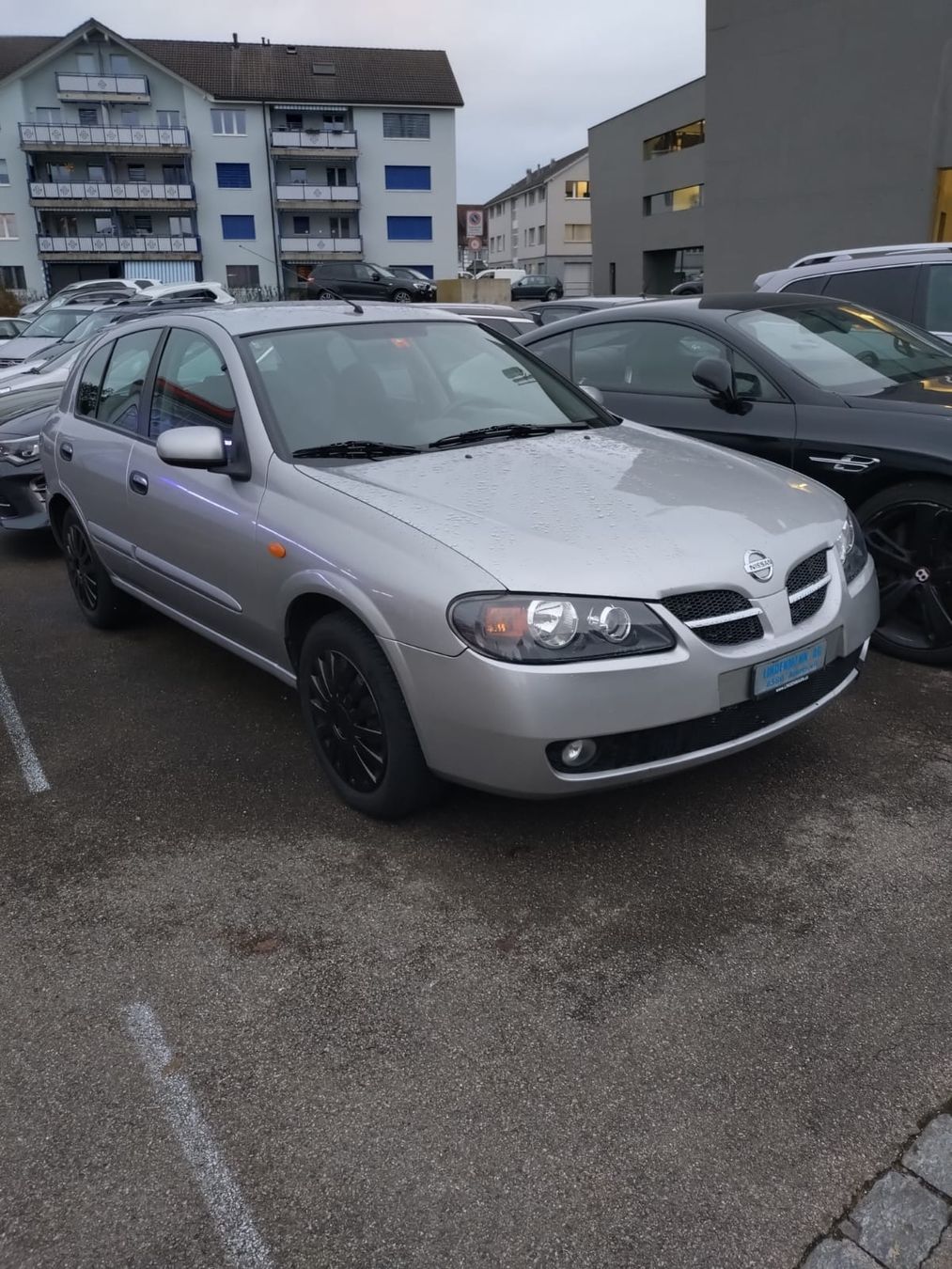Nissan Automobili: Nissan Almera 1.8 mit MFK – Usato da Scherzingen venduto da ienni21 1