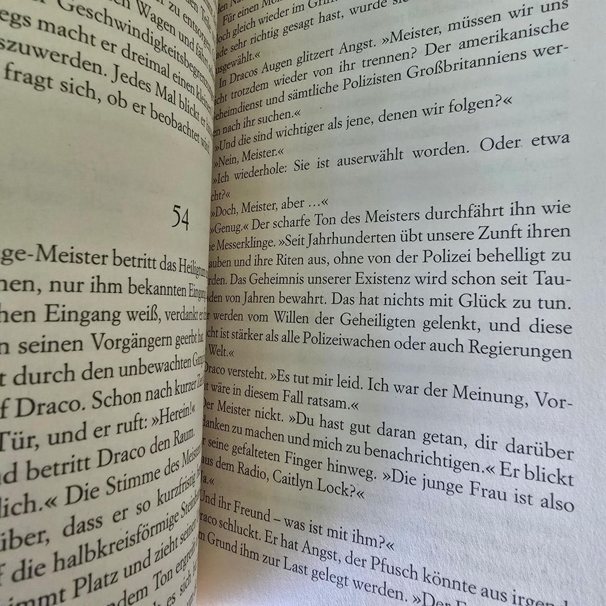 Libri: Das Stonehenge Ritual von Sam Christer – Usato da Merlischachen venduto da Sheavy 8