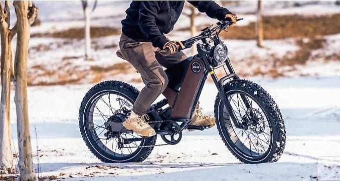 Velos: Elektrobike Antelope P5 750W 45Km/h – Gebraucht aus Hauptwil von Dragon-Import 3