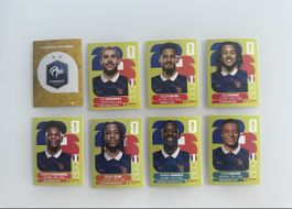 Panini Sticker Frankreich 2026