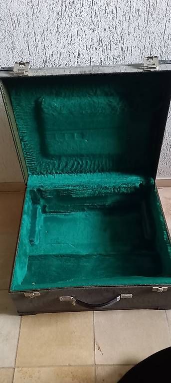 Strumenti musicali: Zupan Akkordeon Alpe V – Usato da Buochs venduto da von_mzm8 4