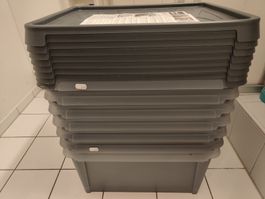 Aufbewahrungsbox SmartStore Dry 31 grau 50x40x27 cm neu