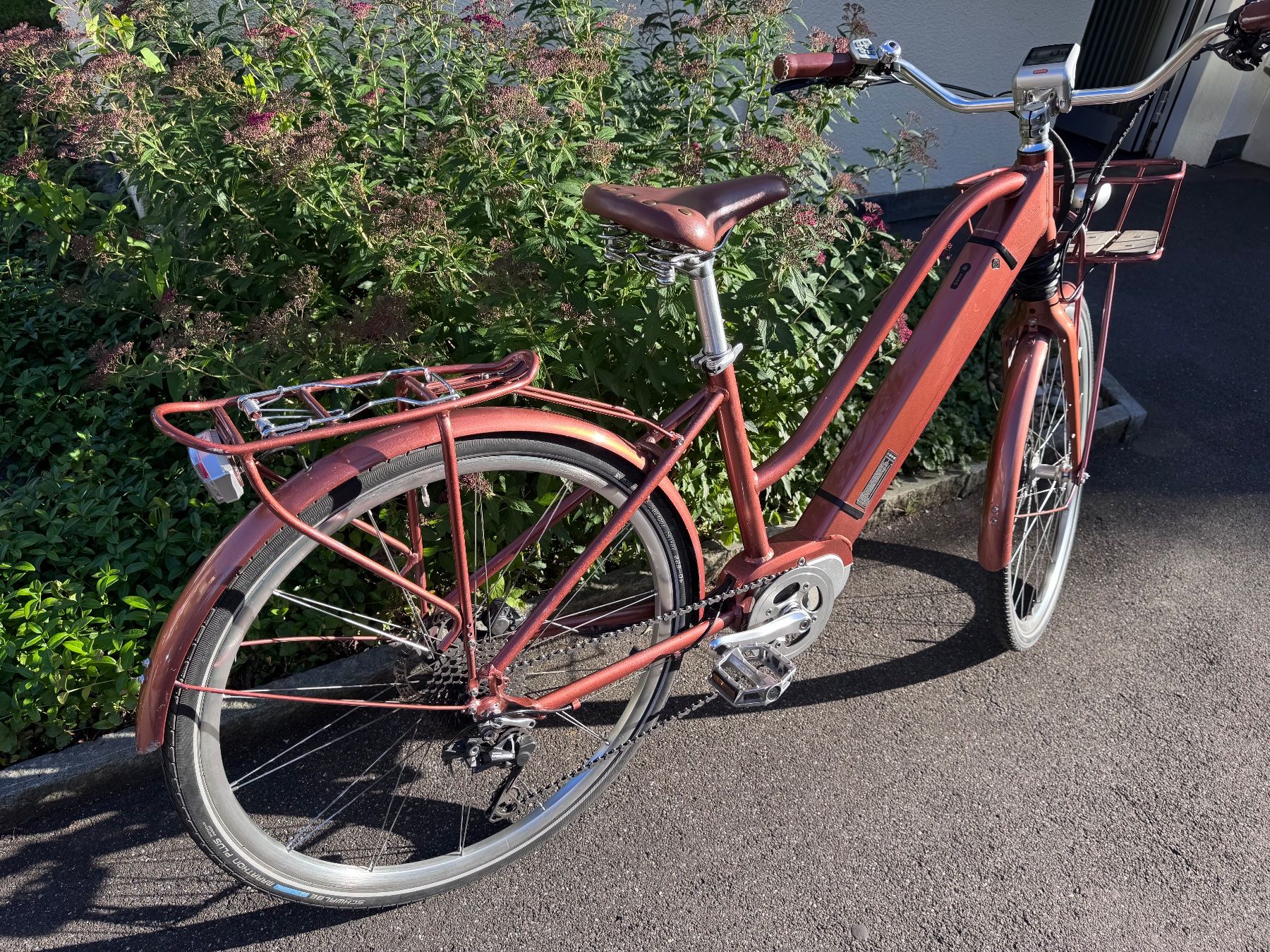 Ego Movement Velos: E-Bike Egomovement Cleopatra – Gebraucht aus Zürich von starsz 2