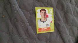 Panini Sticker WM 2026 - ENG 12