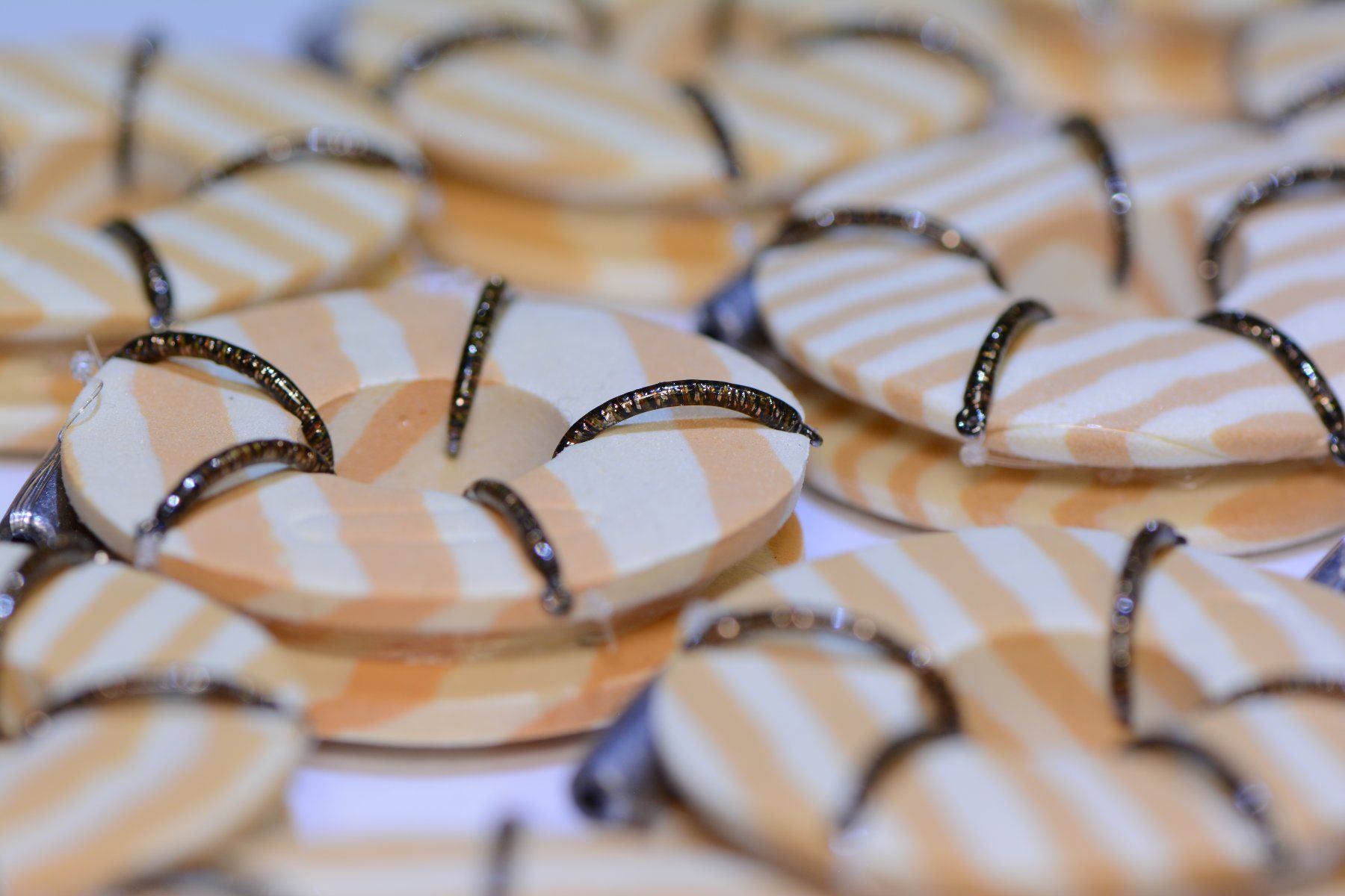 Esche: Hegene Egli und Felchen – Nuovo e nell'imballaggio originale da Zollikofen venduto da Hegenenshop 1