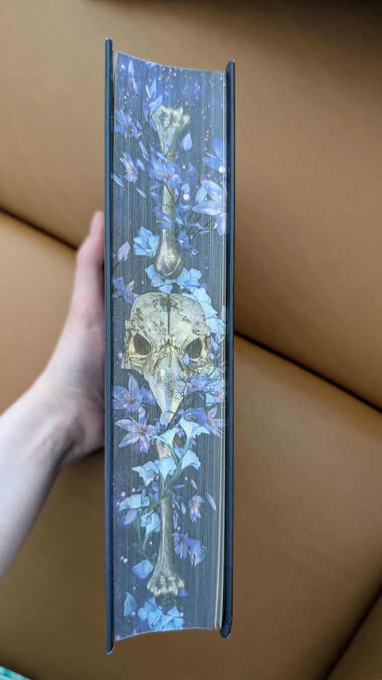 Libri: Fantasy Roman "Ruinous Creatures" - Der Kuss des Phönix – Usato da Wädenswil venduto da coconut1289 2