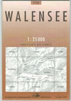 Landkarte Walensee 1999