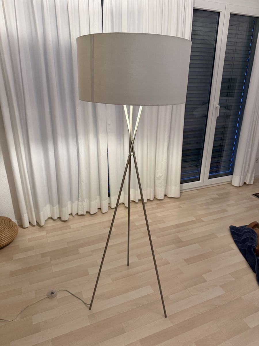 Lampen: Elgo Stehlampe Masse 150x50cm – Gebraucht aus Uznach von Player6 2