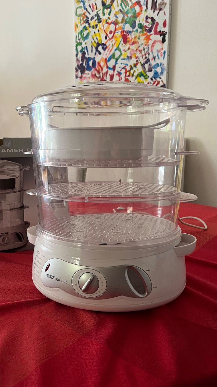 Turmix Elettrodomestici da cucina: Turmix DG 900 Steamer – Nuovo (secondo la descrizione) da Chêne-Bougeries venduto da Rakham69 1