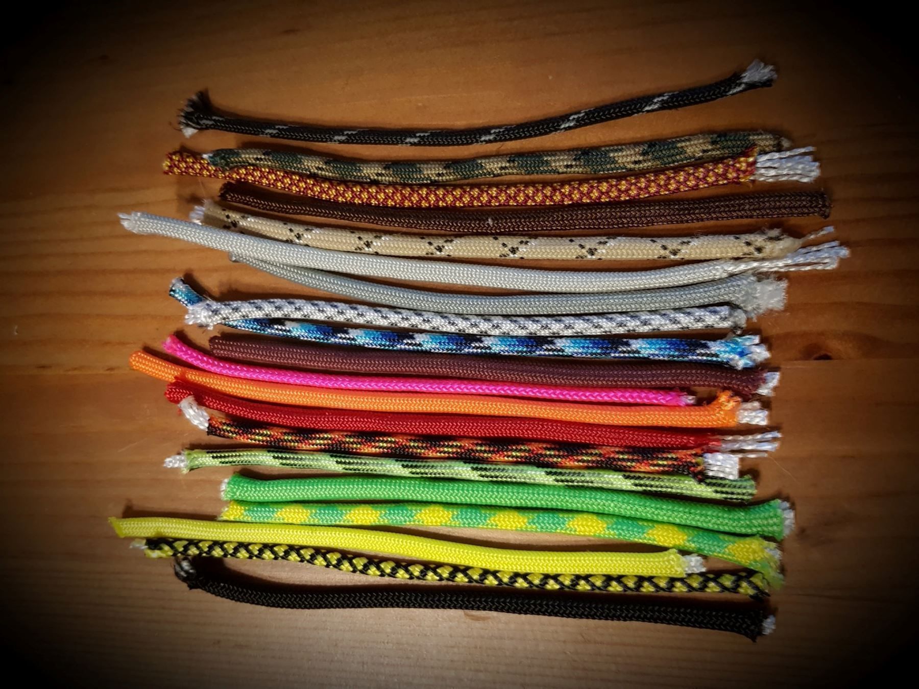 Guinzagli & Collari: Paracord Hundeleine 100% Handarbeit – Nuovo (secondo la descrizione) da Näfels venduto da AllerleiCH 6