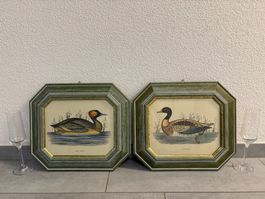 38.5 cm breit x 33.5 cm hoch Vogelbilder 2er Set Vintage