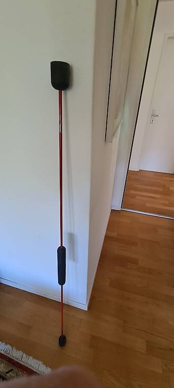 Hometrainer: Swingstab – Gebraucht aus Wädenswil von hel_wlc8