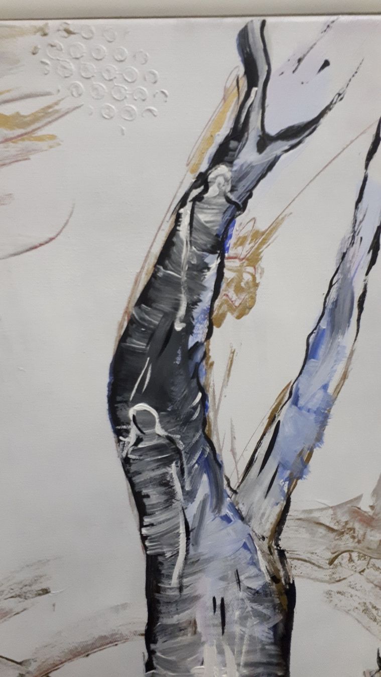 Foto & Immagini: Acrylbild – Usato da Liestal venduto da Stephanoceras1 1