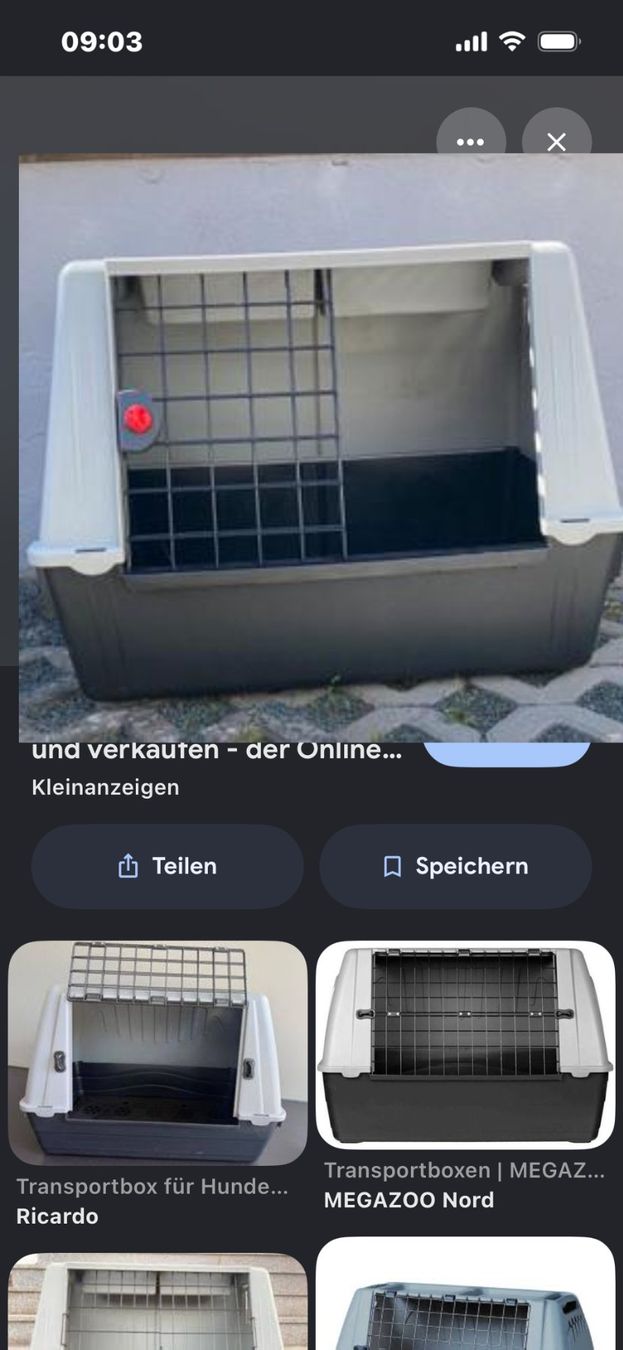 Cages, transport & sécurité: Hundebox – D'occasion à Thun par chay2011