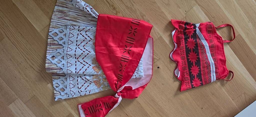 Costumi: Vaiana Kostüm – Usato da Aarburg venduto da vere86 1