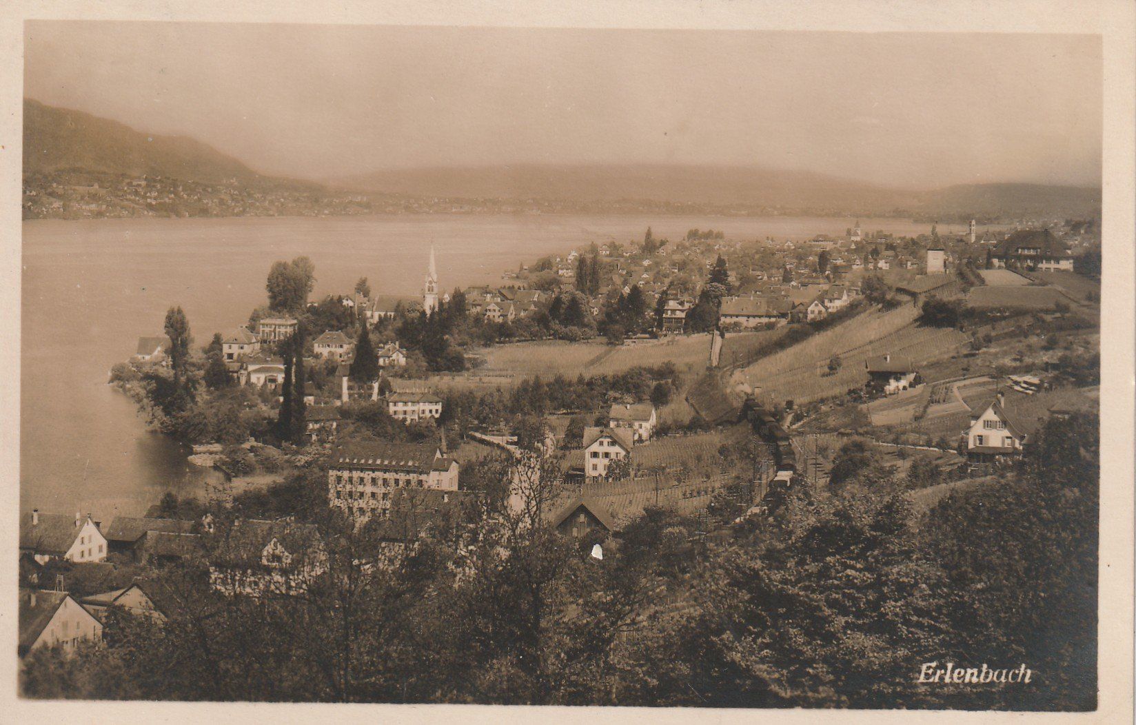 Cartoline postali: Erlenbach – Usato da Rorschacherberg venduto da fratovi2