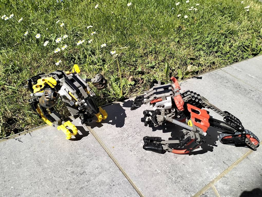 Kit di costruzioni: Lego Technics Bionicle 8538 Muaka e Kane Ra – Usato da Locarno venduto da gab_22kt